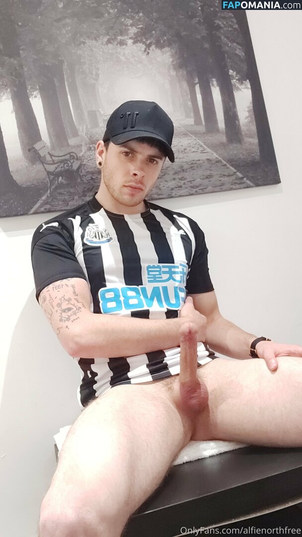 alfienorth / alfienorthfree Meztelen OnlyFans  Kikerült fotó #1