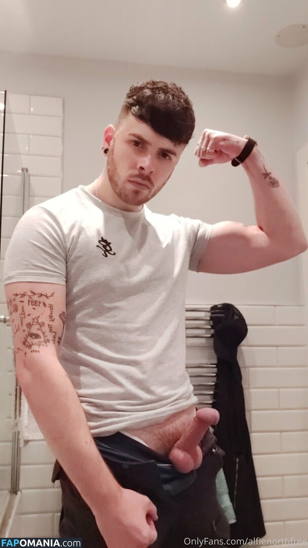alfienorth / alfienorthfree Meztelen OnlyFans  Kikerült fotó #2