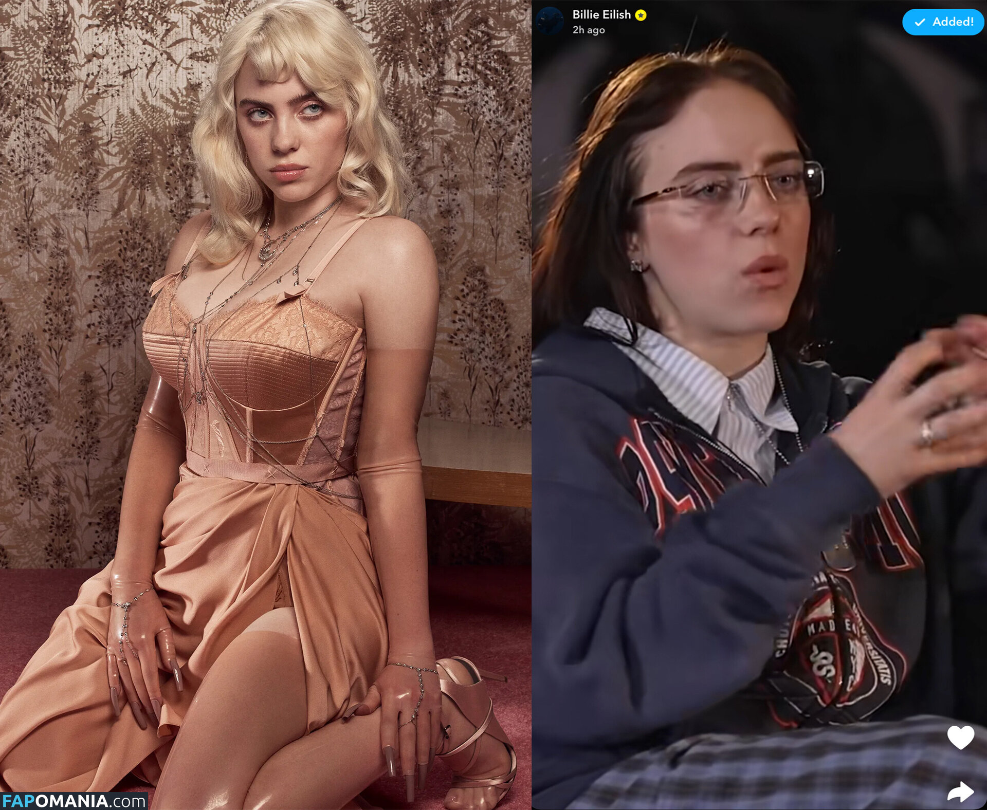 Billie Eilish / Fake / billeeilish / billieeilish Meztelen OnlyFans  Kikerült fotó #2221