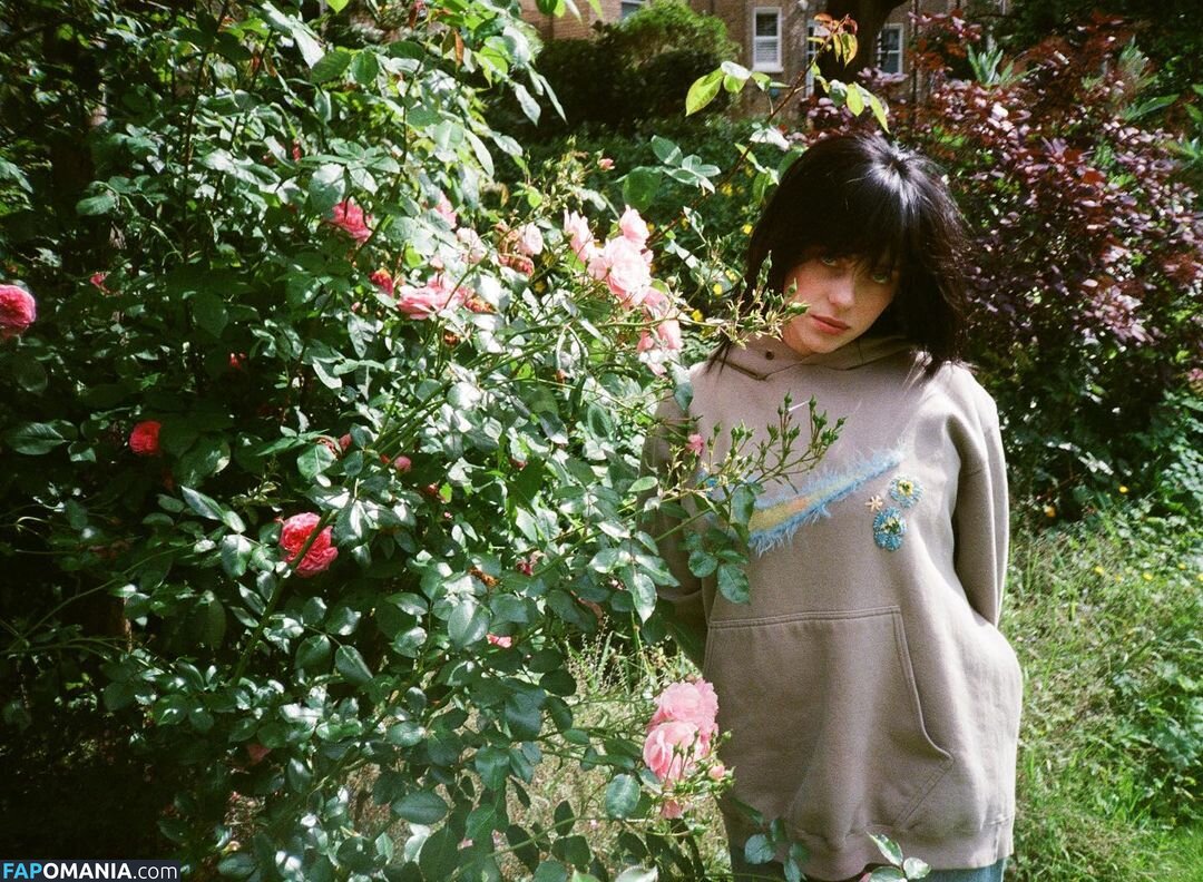 Billie Eilish / Fake / billeeilish / billieeilish Meztelen OnlyFans  Kikerült fotó #2228