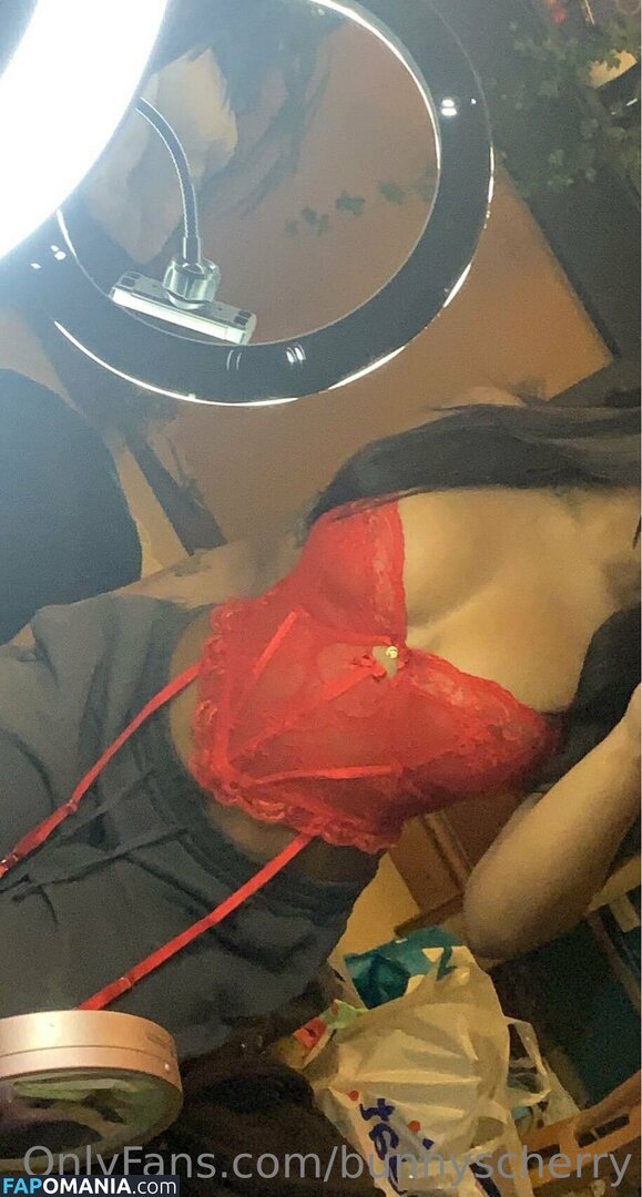 Bunnyscherry / bunnycherry4741 Meztelen OnlyFans  Kikerült fotó #14