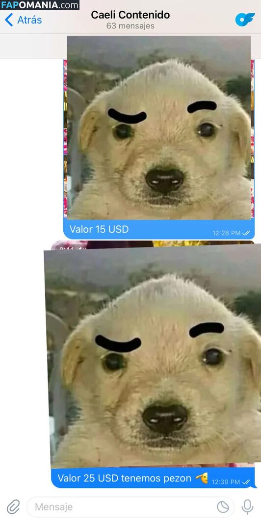 Caeli / Caelike / Caeliyt / caeliexclusive Meztelen OnlyFans  Kikerült fotó #160