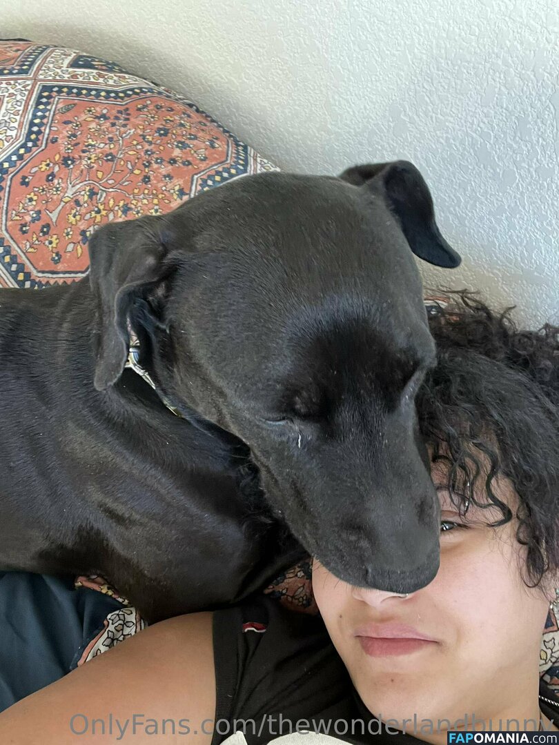 CairoBunny / ucairo-bunny Meztelen OnlyFans  Kikerült fotó #91