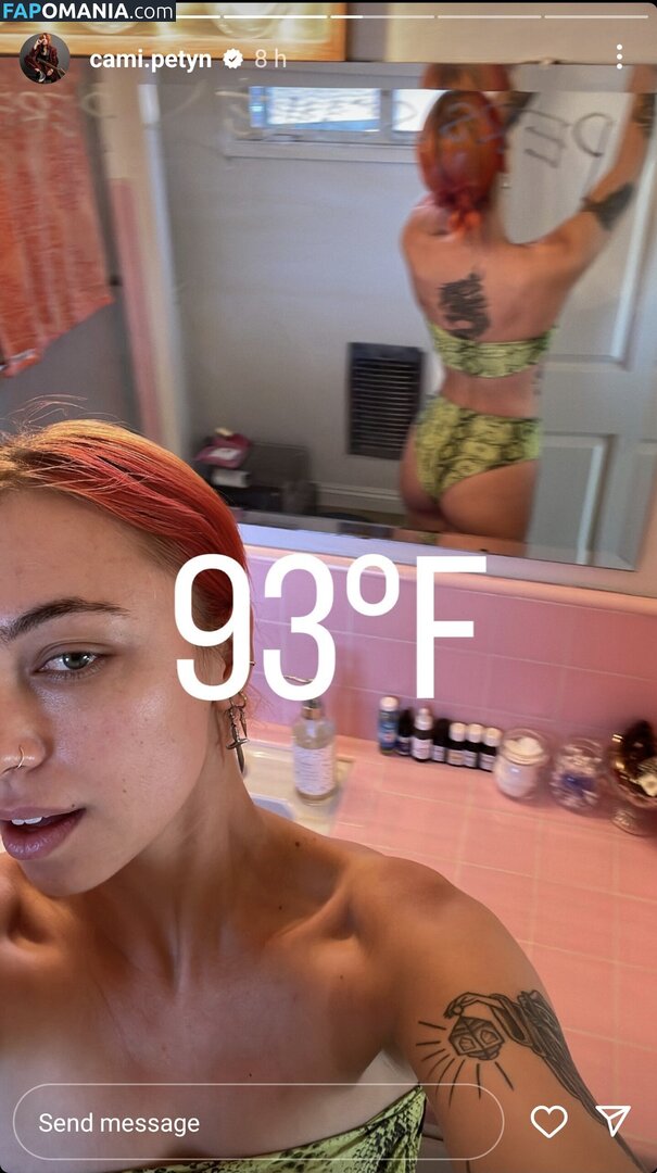 Cami Petyn / cami.petyn / camipetyn Meztelen OnlyFans  Kikerült fotó #34