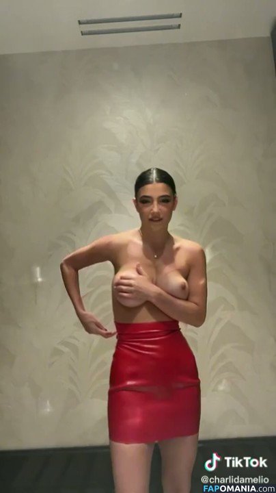 Charli D'Amelio / Charli Damelio / charlidamelio / charliesdamelio Meztelen OnlyFans  Kikerült fotó #72