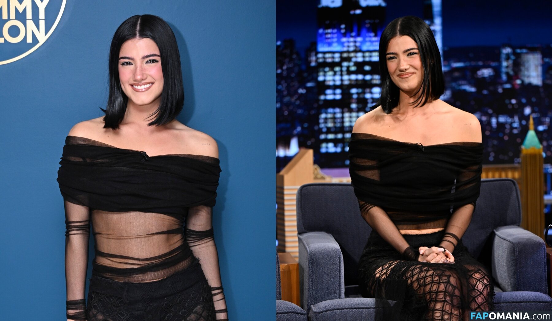 Charli D'Amelio / Charli Damelio / charlidamelio / charliesdamelio Meztelen OnlyFans  Kikerült fotó #1560