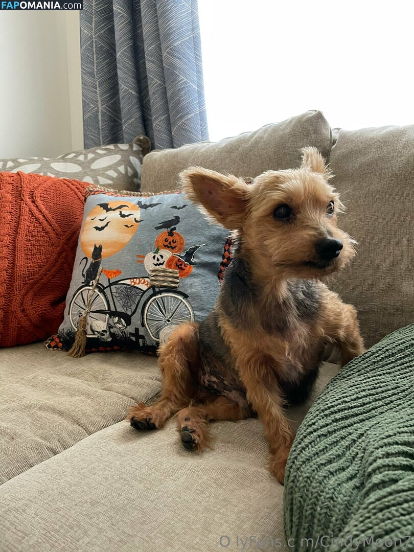 cindymoon007 / cindymoon7 Meztelen OnlyFans  Kikerült fotó #280