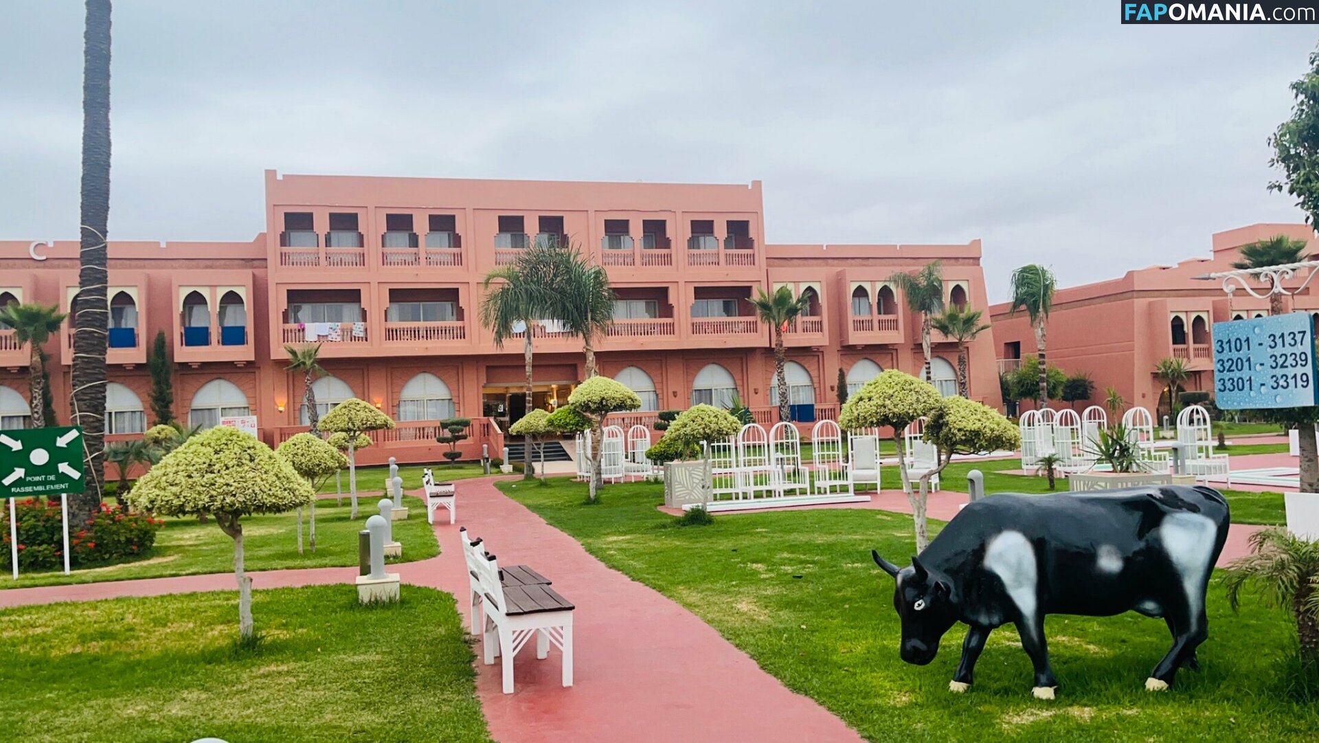 chloz.ee / coco-lls Meztelen OnlyFans  Kikerült fotó #7