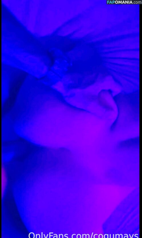 Cogumays / Mayara Vér Meyer Meztelen OnlyFans  Kikerült fotó #465