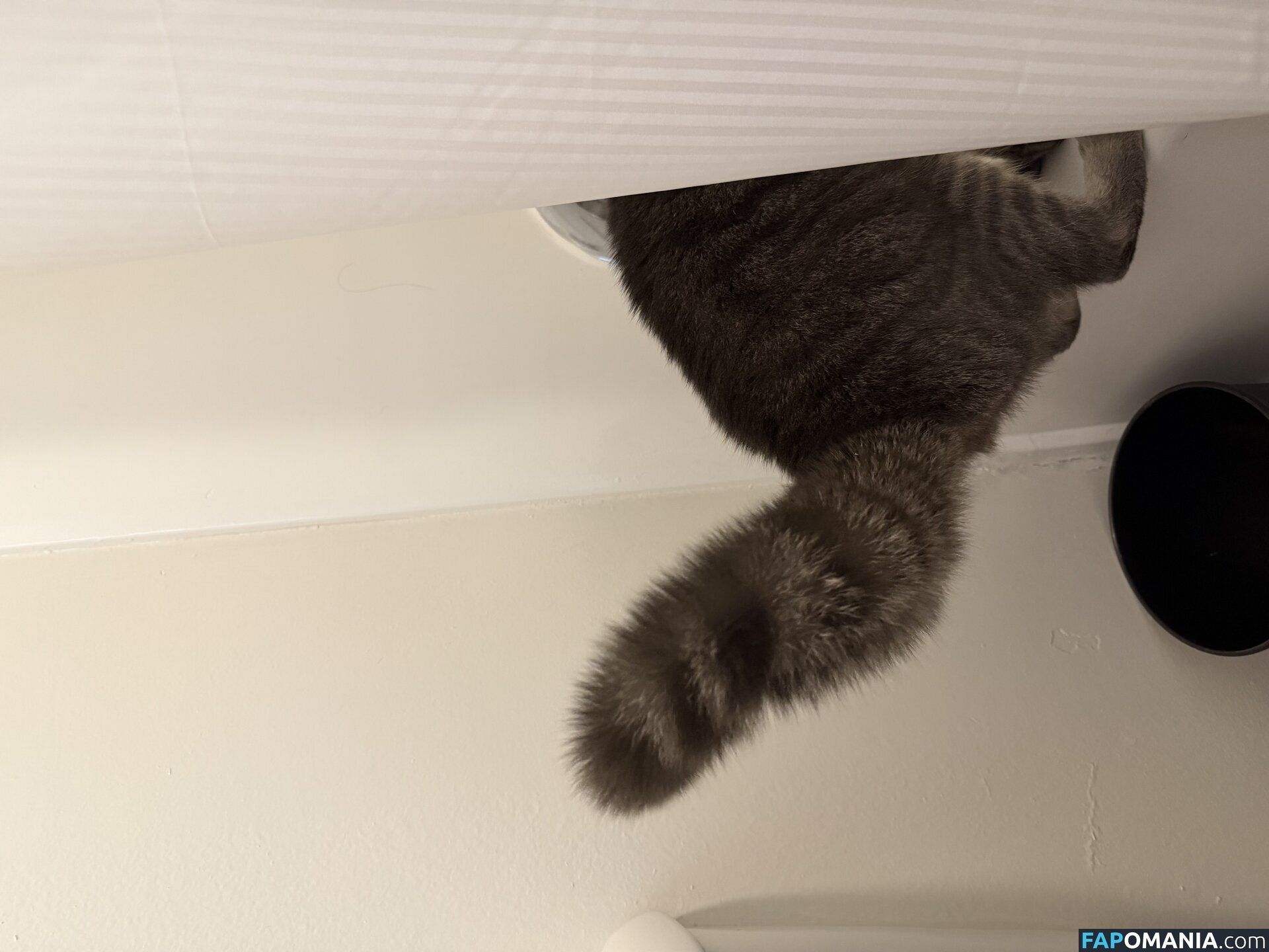 dahniks / dahnikz Meztelen OnlyFans  Kikerült fotó #15