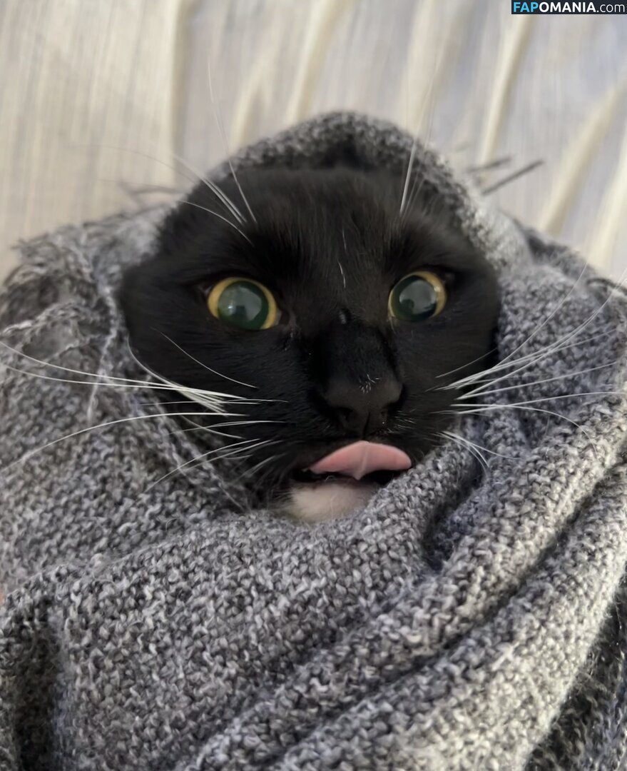 dahniks / dahnikz Meztelen OnlyFans  Kikerült fotó #19