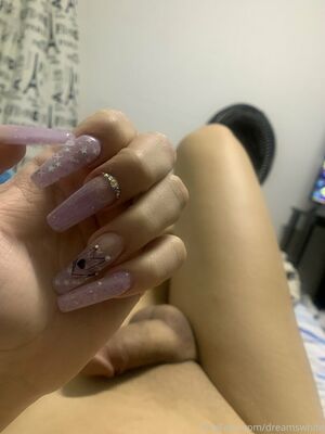 dreamswhite