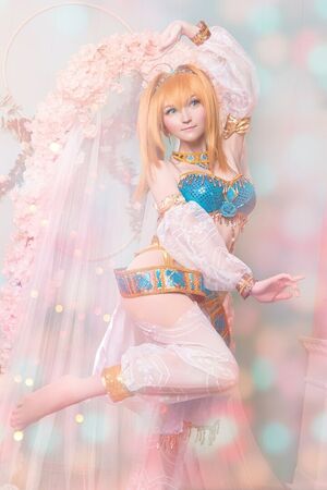 Erodaicon