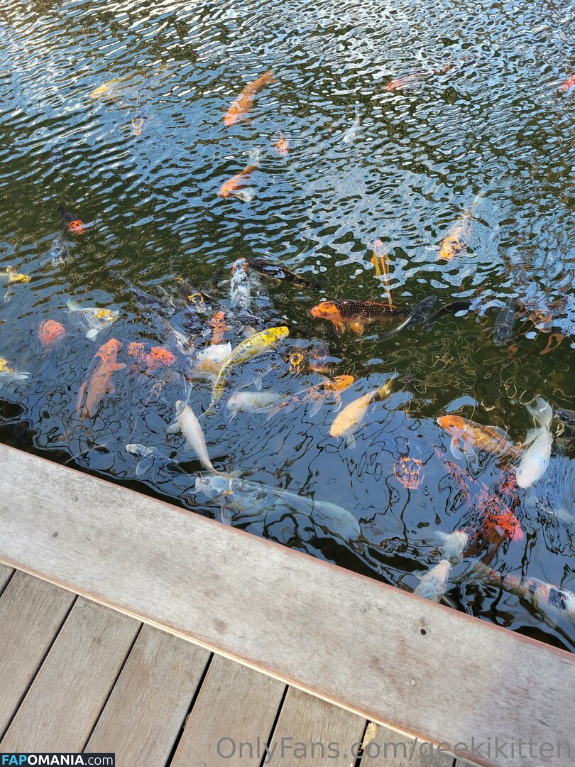 geekikitten / geekykittenxo Meztelen OnlyFans  Kikerült fotó #4