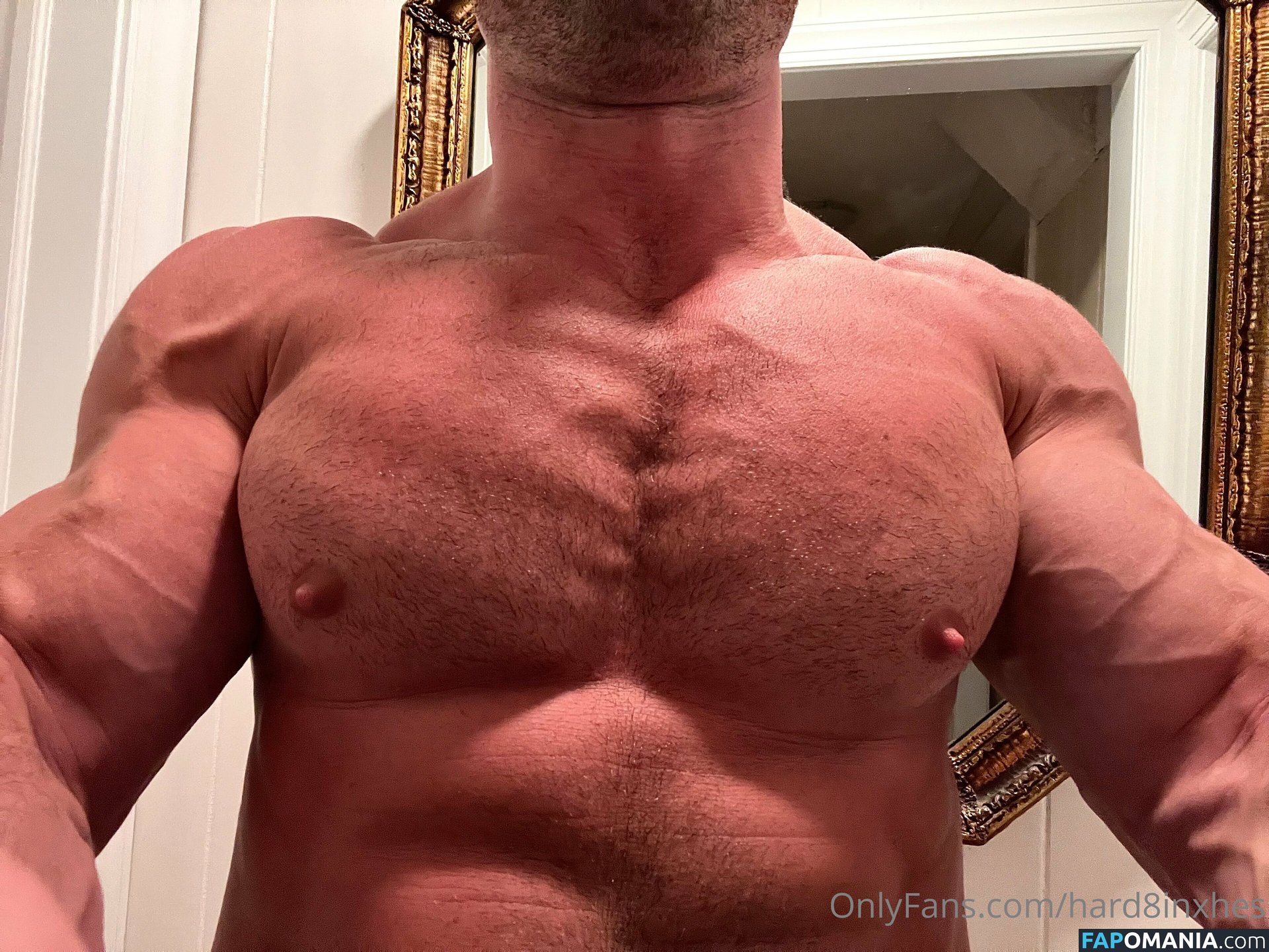 hard8inxhes Meztelen OnlyFans  Kikerült fotó #4