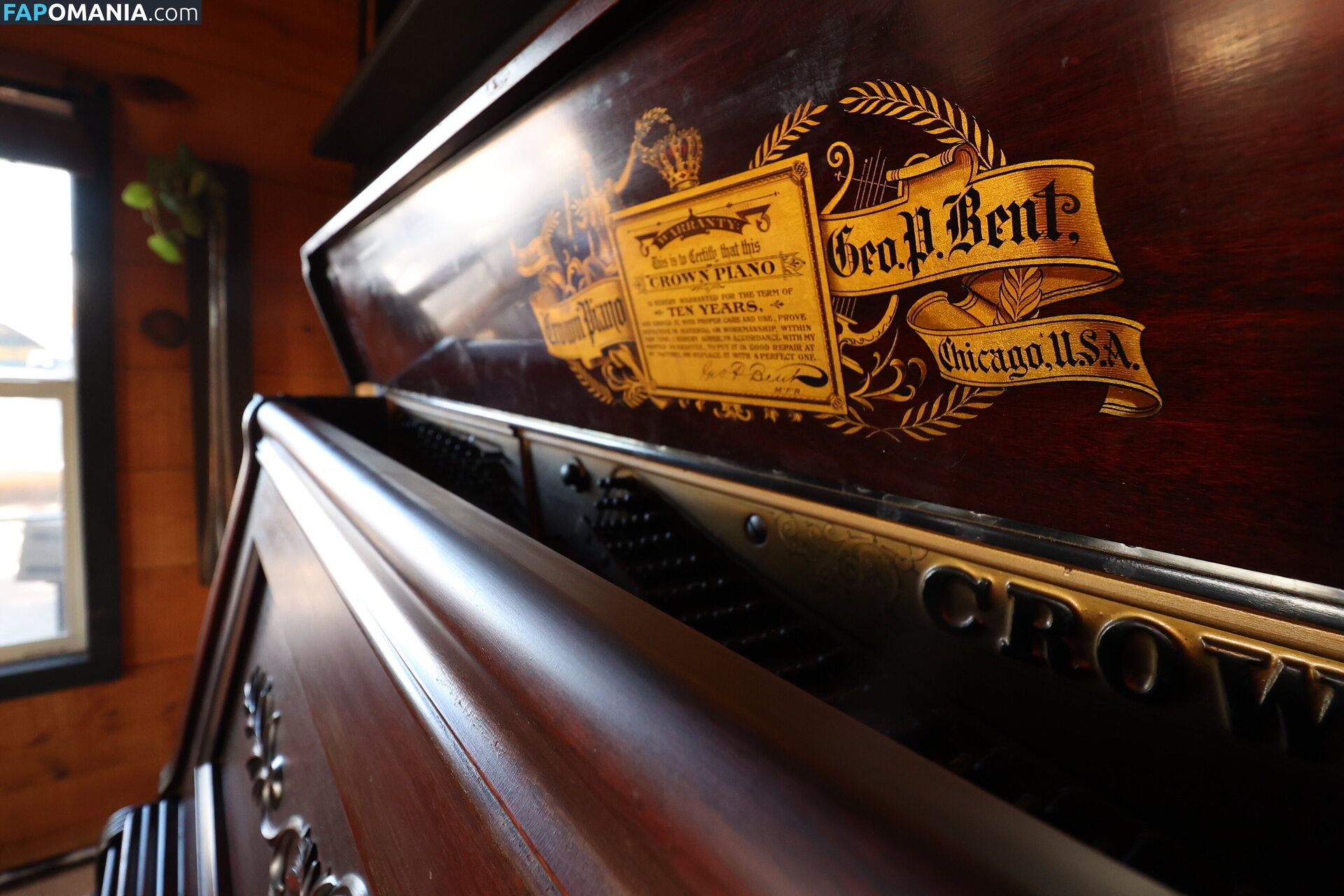 harlemhookup Meztelen OnlyFans  Kikerült fotó #20