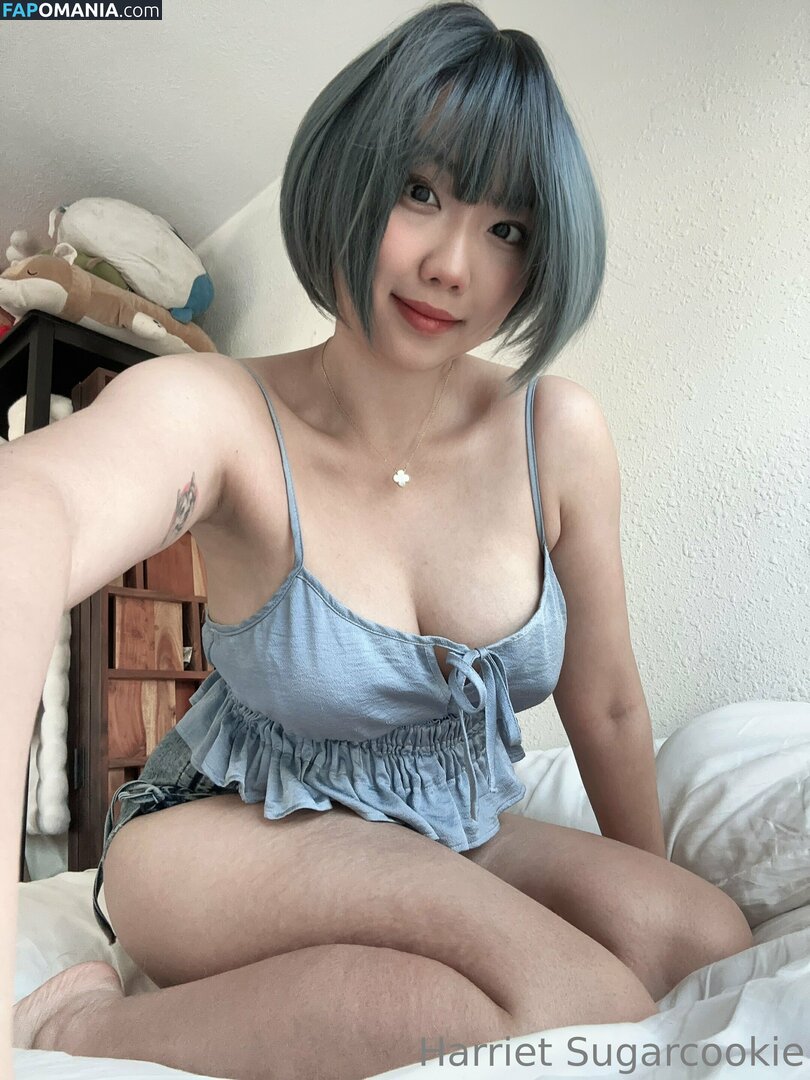HSugarCookie / Harriet Sugarcookie / harrietsugarcookie / iamharrietsugarcookie Meztelen OnlyFans  Kikerült fotó #85