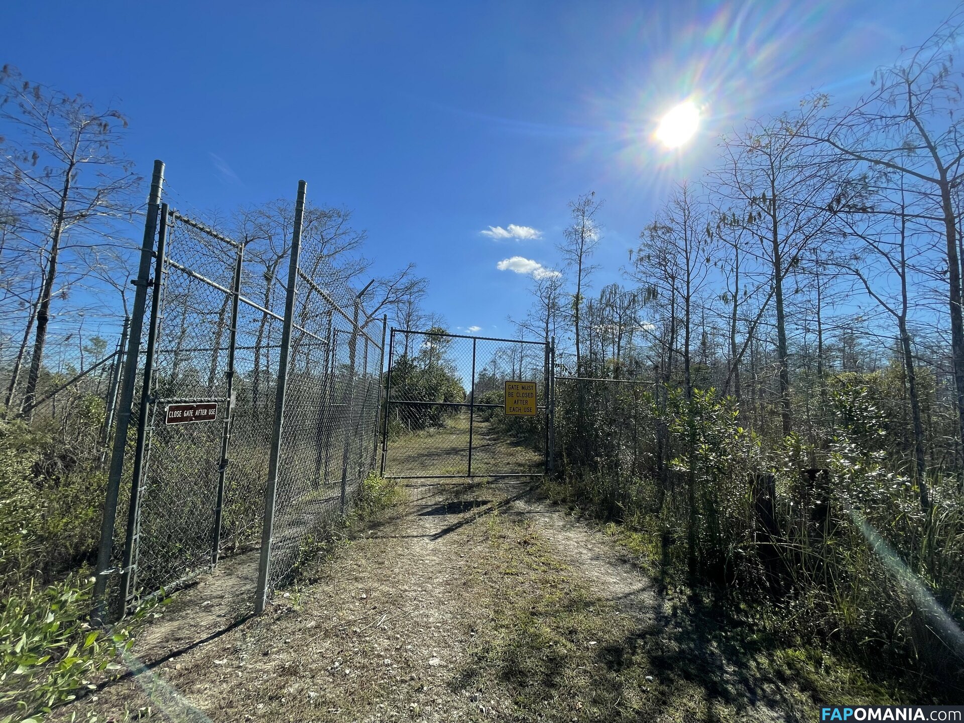 debiiworks / iambigduch Meztelen OnlyFans  Kikerült fotó #59