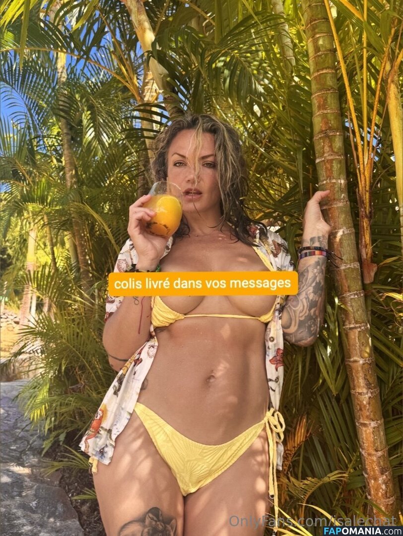 Isabelle Desjardins / isalechat Meztelen OnlyFans  Kikerült fotó #12