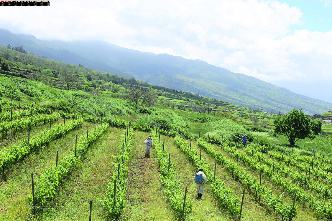 julia_lyn Meztelen OnlyFans  Kikerült fotó #10