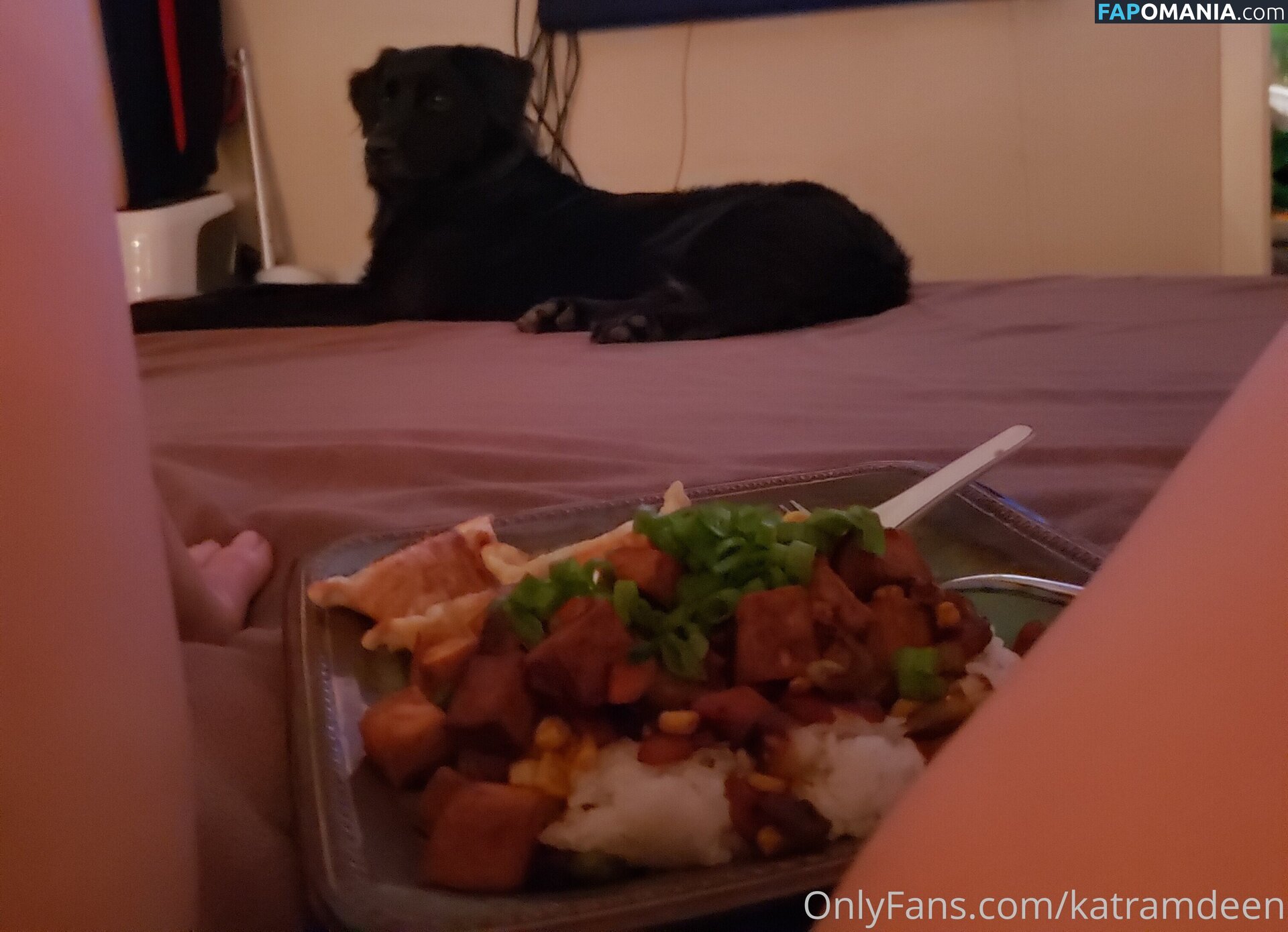 Katherine Ramdeen Meztelen OnlyFans  Kikerült fotó #14