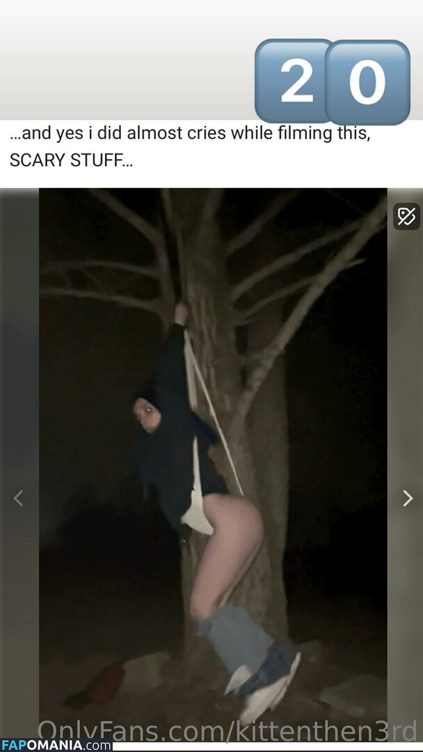 kittenthen3rd Meztelen OnlyFans  Kikerült fotó #12