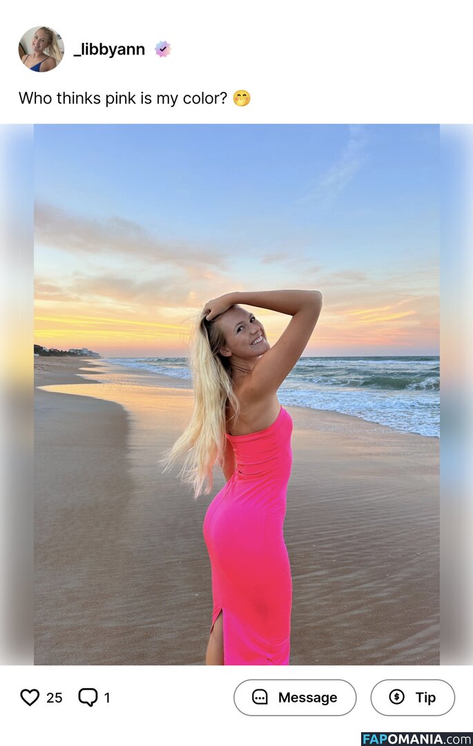 Elizabeth Gill / _libbyann / fitnessblondie69 / hunnaxlib Meztelen OnlyFans  Kikerült fotó #38