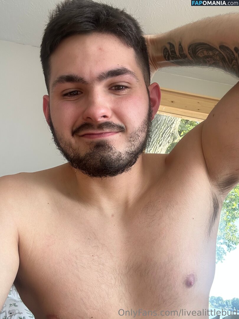 livealittlebud Meztelen OnlyFans  Kikerült fotó #2