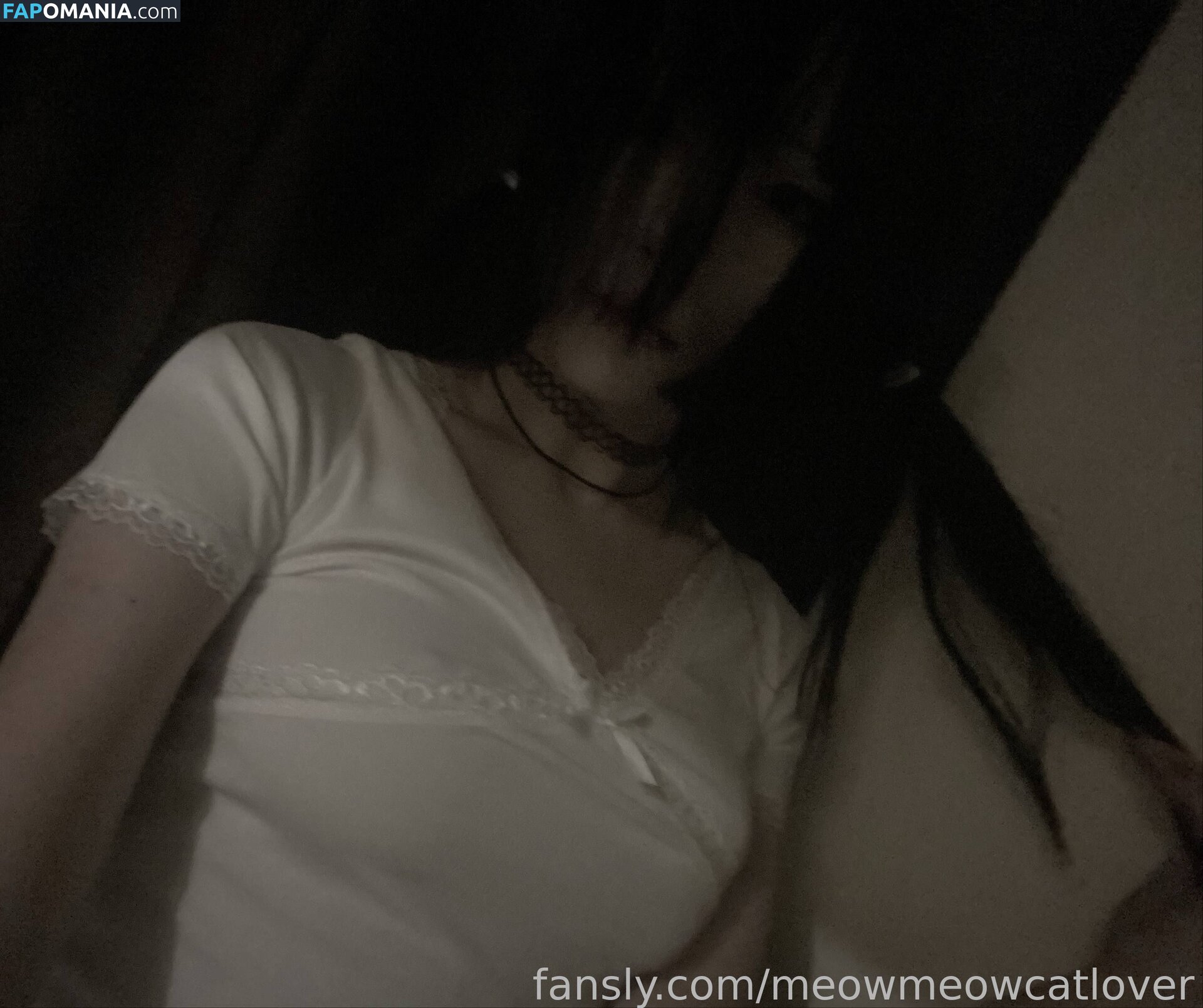 meow.meow.cat.lovers / meowmeowcatlover Meztelen OnlyFans  Kikerült fotó #5