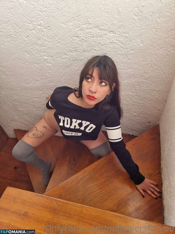 NoFlowers4You / NoFlowersForYou / NoFlowersForYou... / NoFlowersForYou_ / assets / https: / noflowersforu Meztelen OnlyFans  Kikerült fotó #11