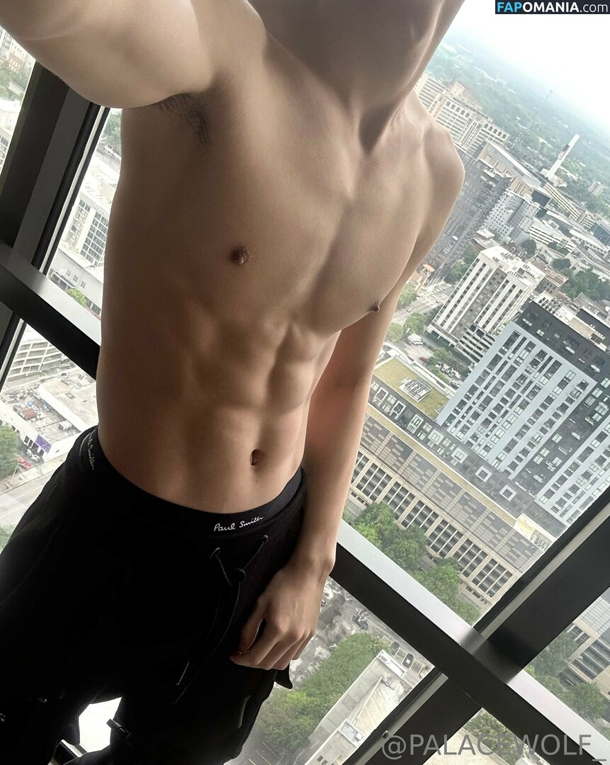 palacewolf / palacewolfent Meztelen OnlyFans  Kikerült fotó #4