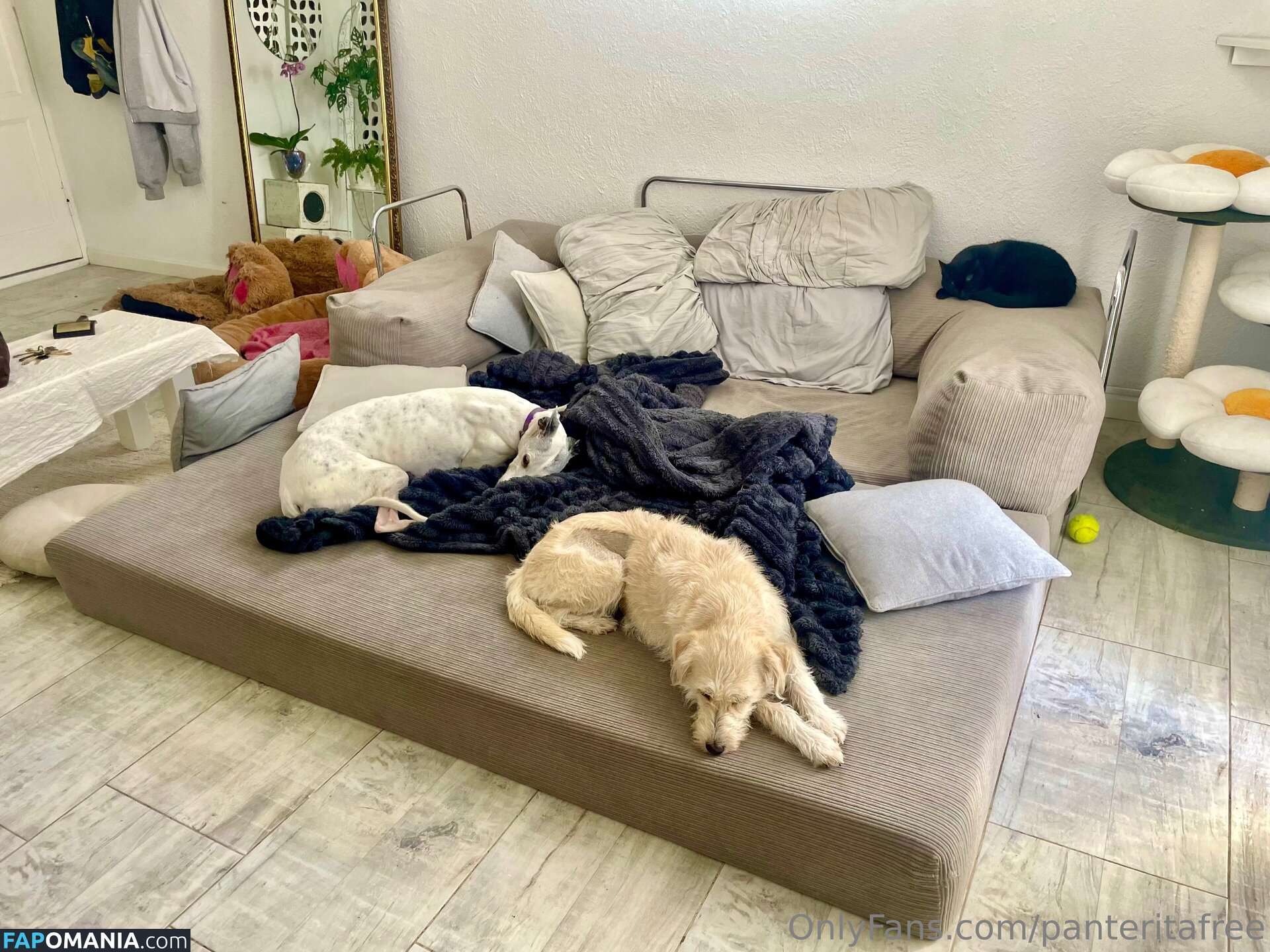 panteritafree Meztelen OnlyFans  Kikerült fotó #6