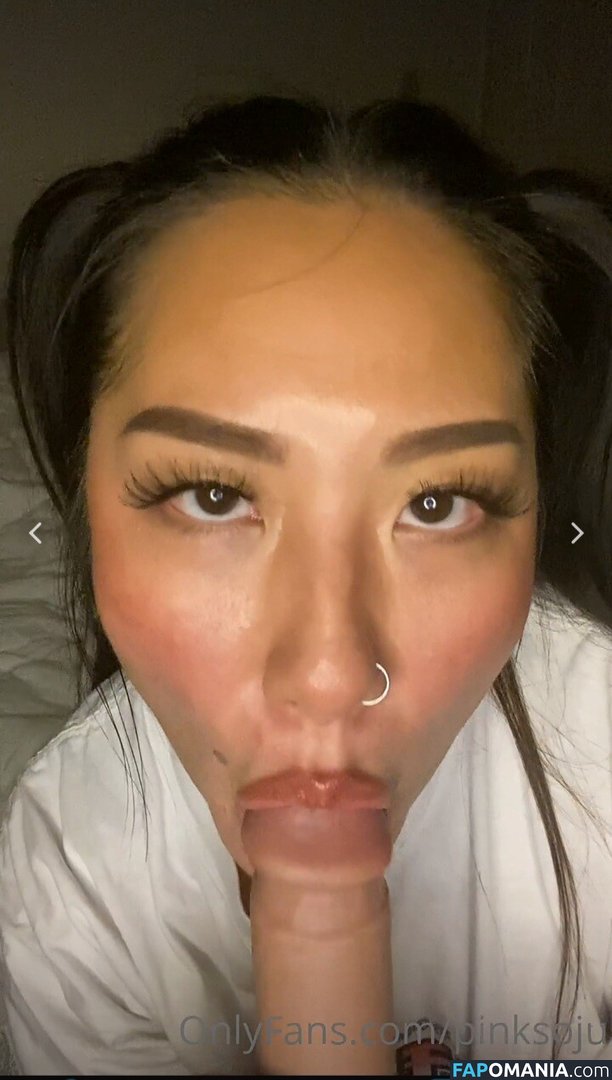 PlNKSOJU / denisetamsi / pinksoju Meztelen OnlyFans  Kikerült fotó #11