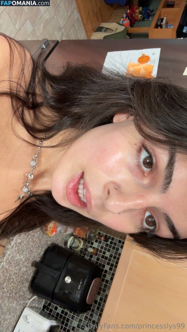 princesslys99 / princesslyss99 Meztelen OnlyFans  Kikerült fotó #1