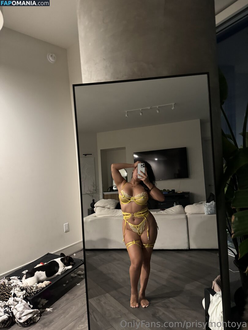 Prisy Montoya / prisymontoya Meztelen OnlyFans  Kikerült fotó #69