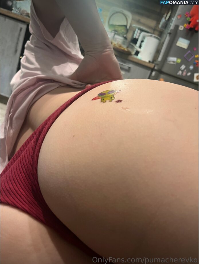 Margarita / Puma Cherevko / pumacherevko Meztelen OnlyFans  Kikerült fotó #17