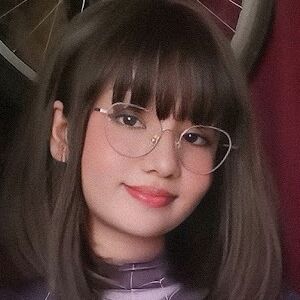 shknhdzn