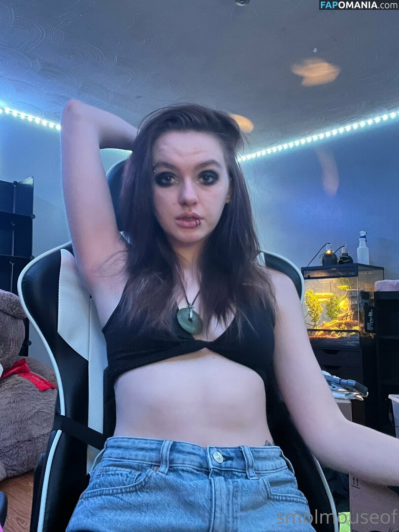 smolmouse8 / smolmouseof Meztelen OnlyFans  Kikerült fotó #46