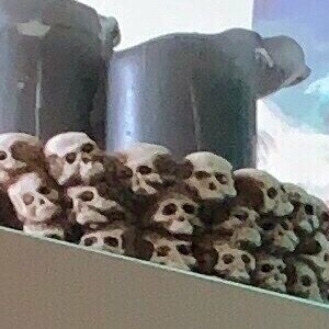 Stefania Aames