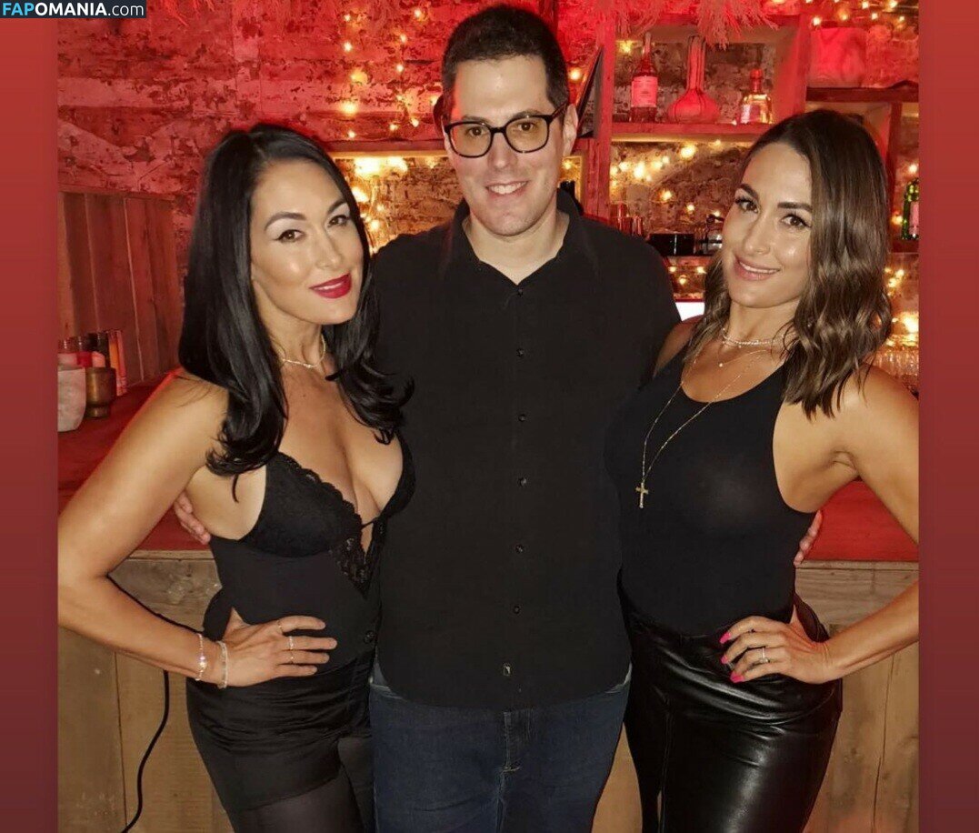 Nikki Bella & Brie Bella / The Bella Twins / thenikkibella Meztelen OnlyFans  Kikerült fotó #202