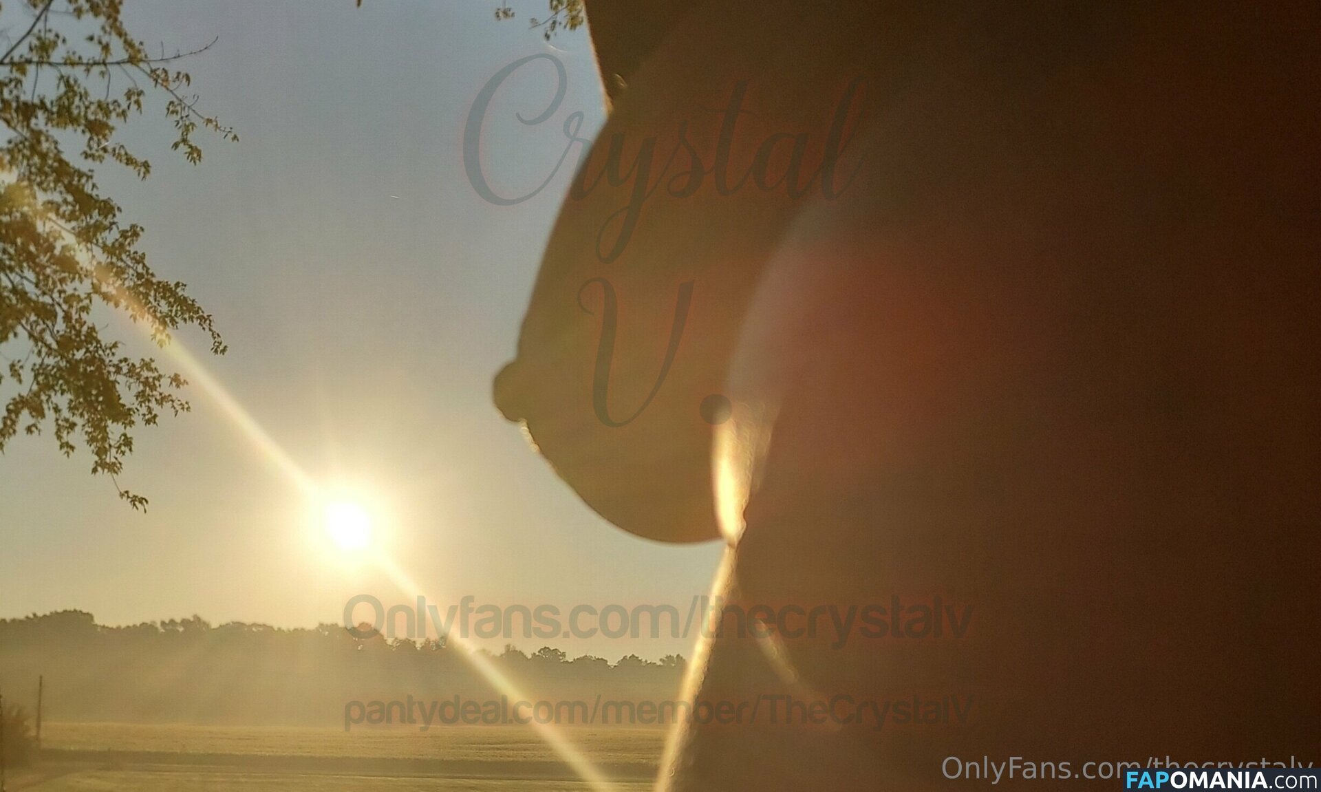 crystallv / thecrystalv Meztelen OnlyFans  Kikerült fotó #11