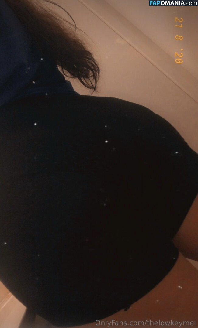 TheLowkeyMel / theofficiallmel Meztelen OnlyFans  Kikerült fotó #7
