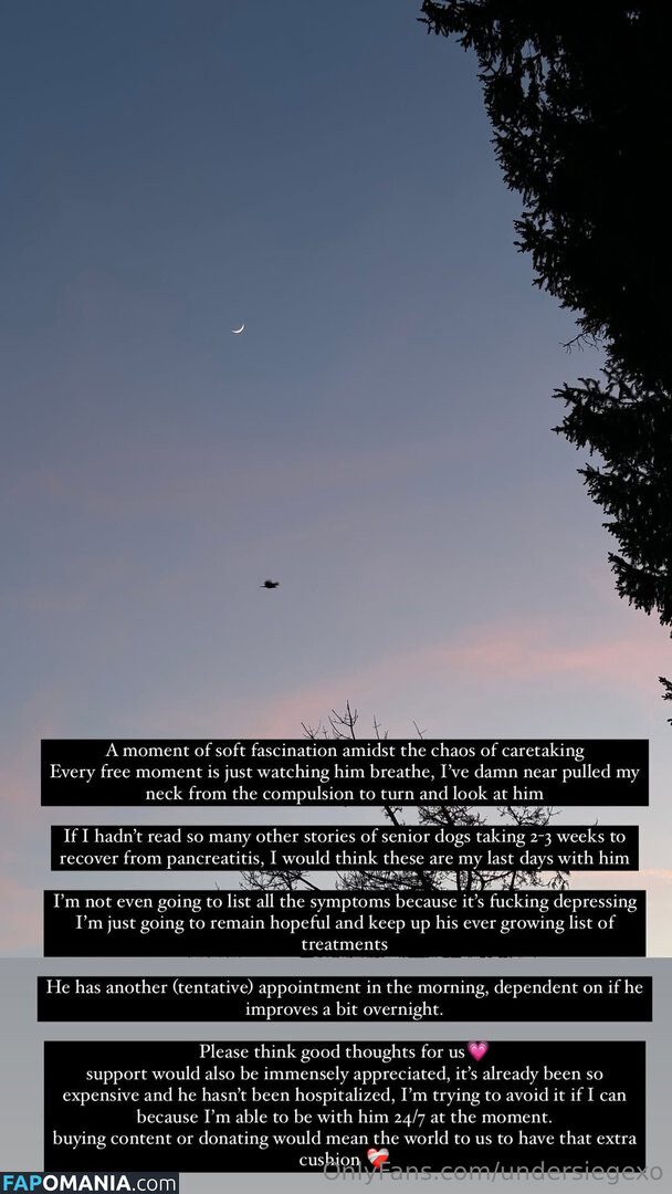 undersiegexo Meztelen OnlyFans  Kikerült fotó #1