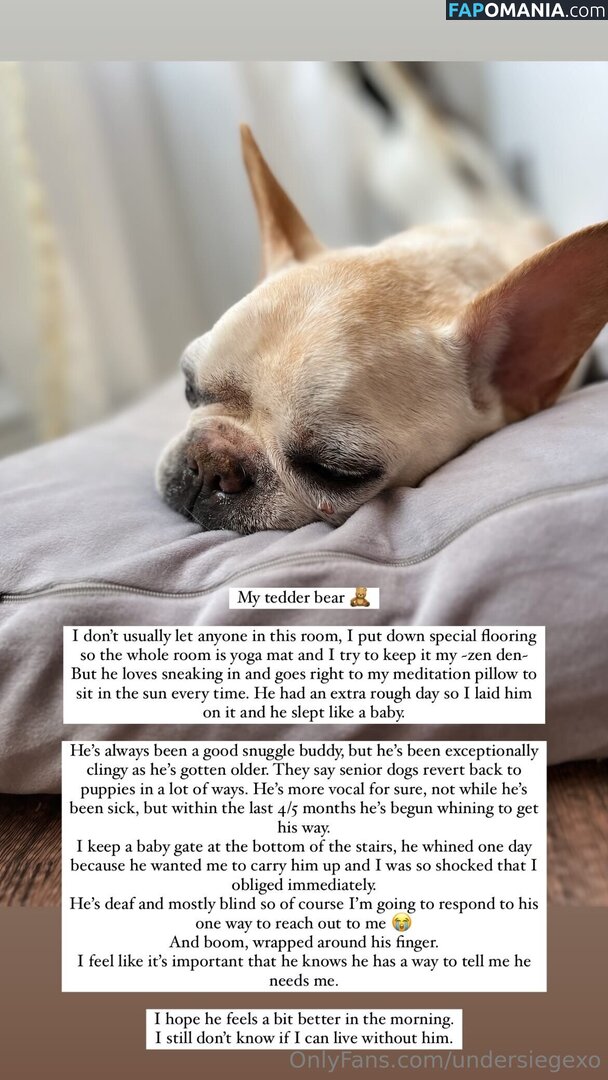 undersiegexo Meztelen OnlyFans  Kikerült fotó #2