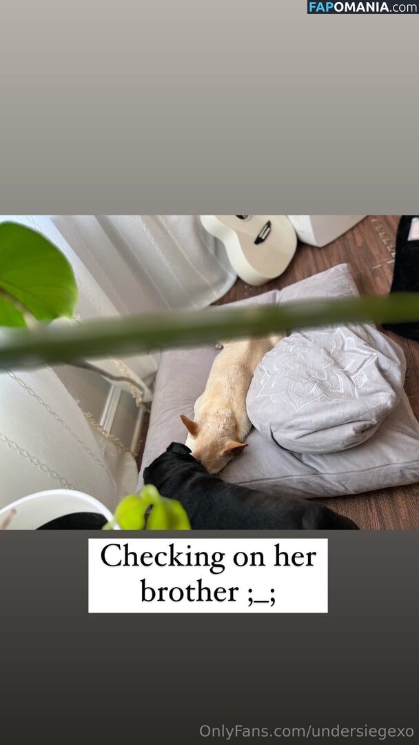 undersiegexo Meztelen OnlyFans  Kikerült fotó #3