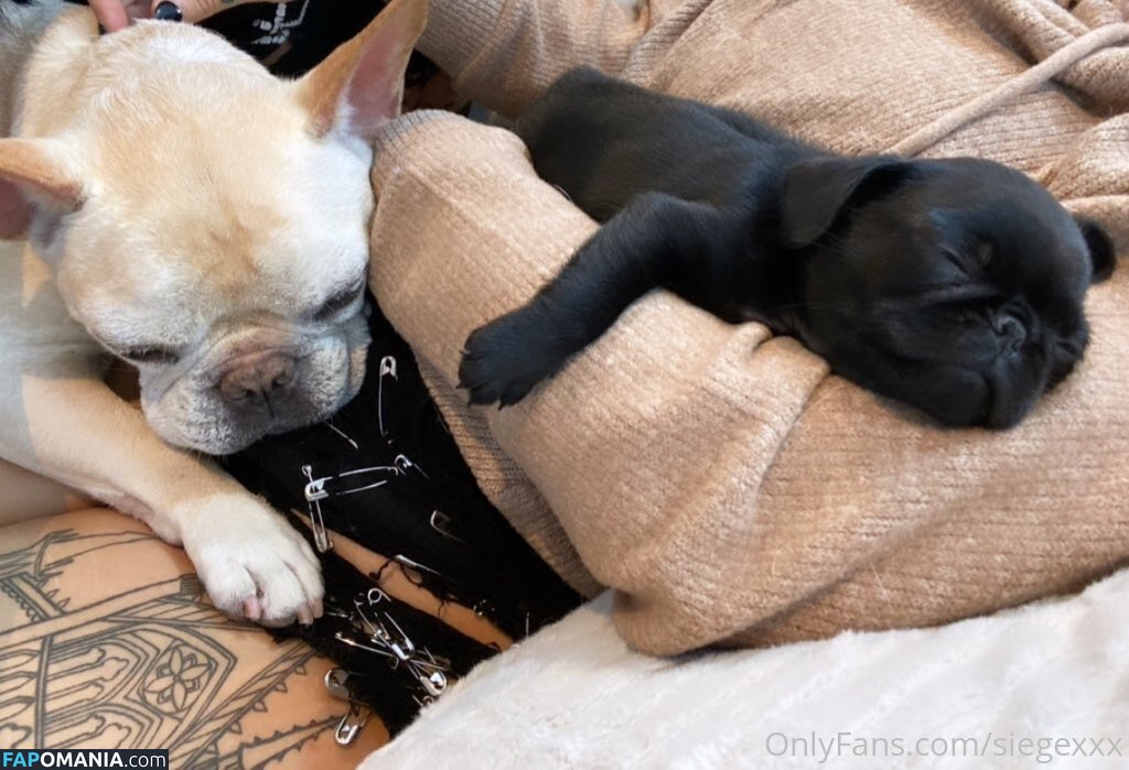 undersiegexo Meztelen OnlyFans  Kikerült fotó #8