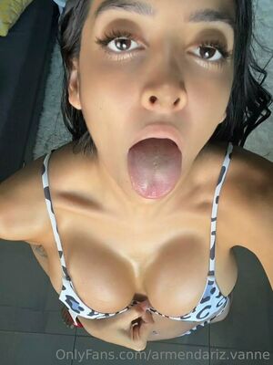 Armendariz.vanne