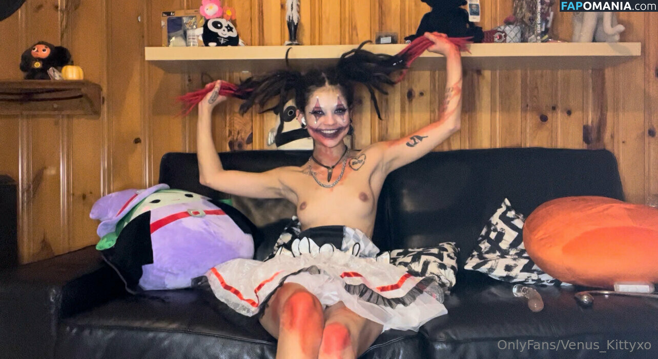venus_kittyxo / venuskittyxo2.0 Meztelen OnlyFans  Kikerült fotó #145