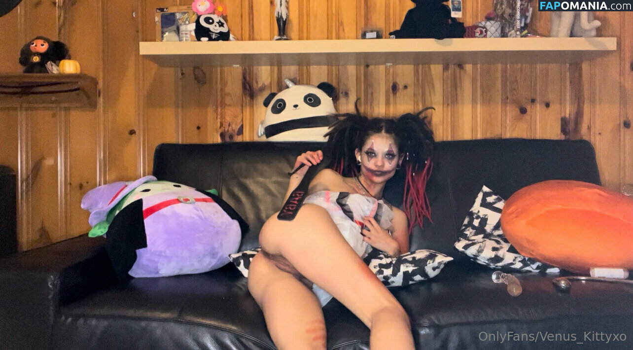 venus_kittyxo / venuskittyxo2.0 Meztelen OnlyFans  Kikerült fotó #148