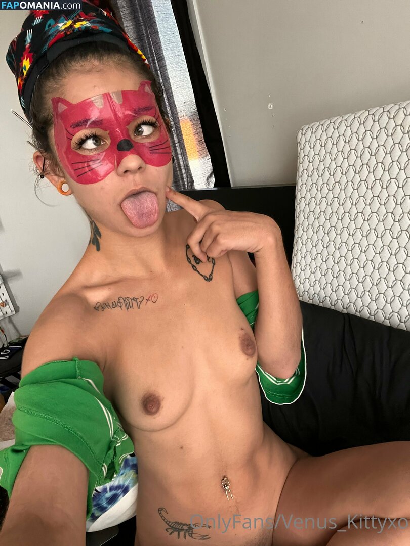 venus_kittyxo / venuskittyxo2.0 Meztelen OnlyFans  Kikerült fotó #244